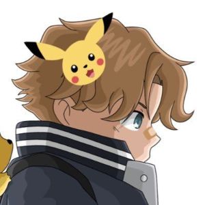 team_Stefujr