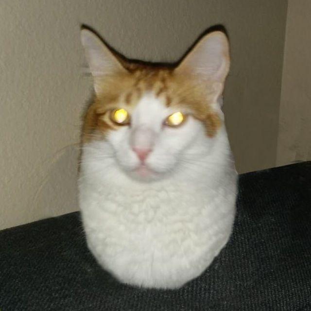 ___nek0 avatar