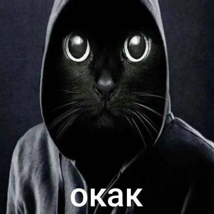 3JIOU_U36EK avatar