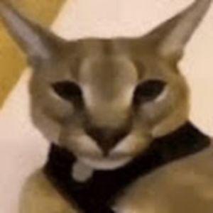 exlty avatar
