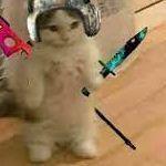 jimpshat avatar