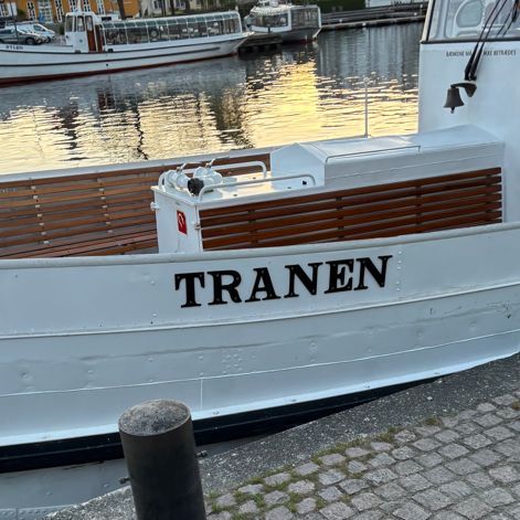 TraneArne