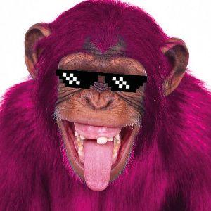 narkos420 avatar