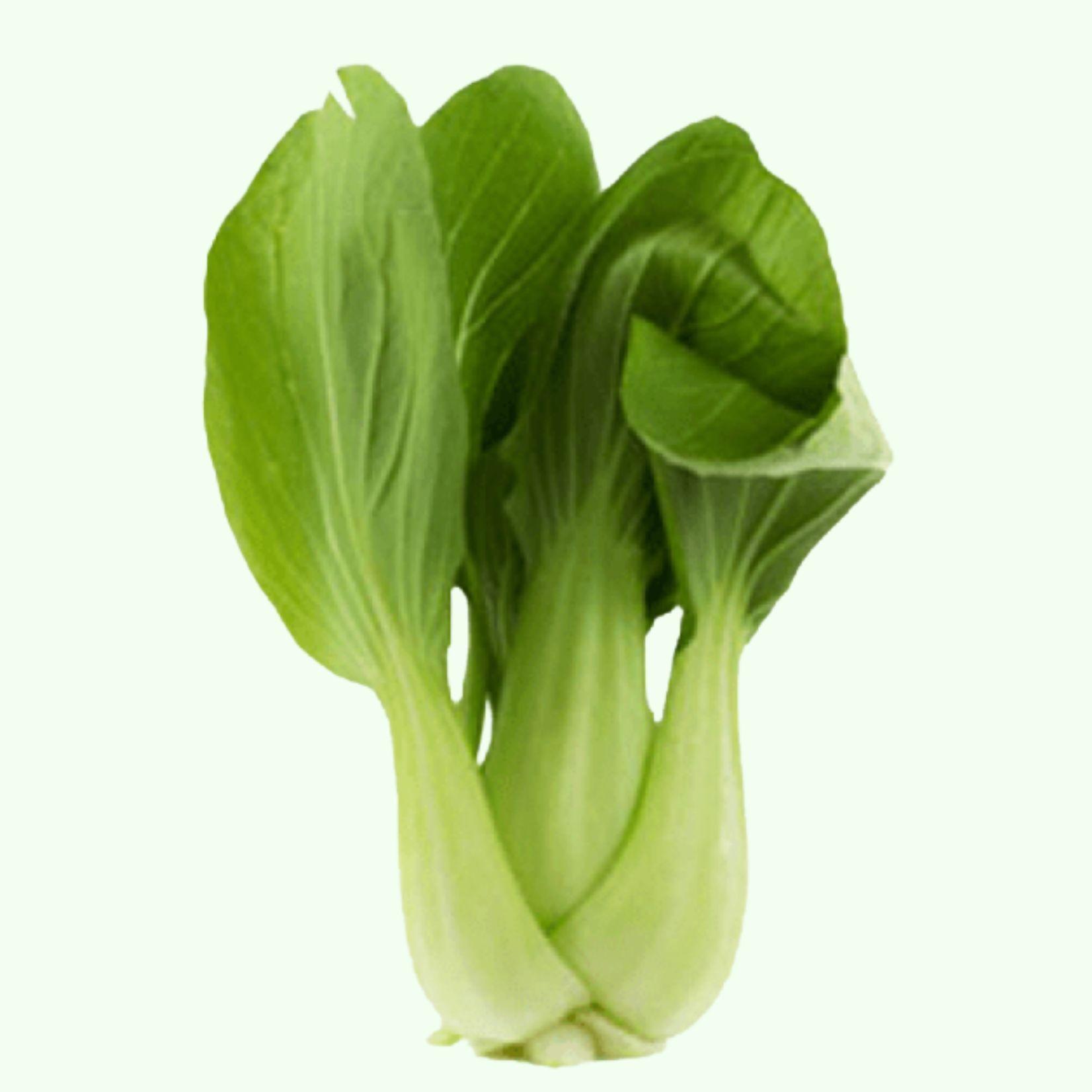 SusBokChoy avatar