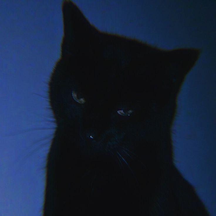 _Legits_ avatar