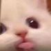 mogulyok