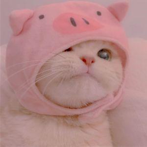Kingling avatar