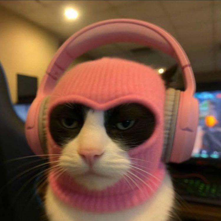netzy_ avatar