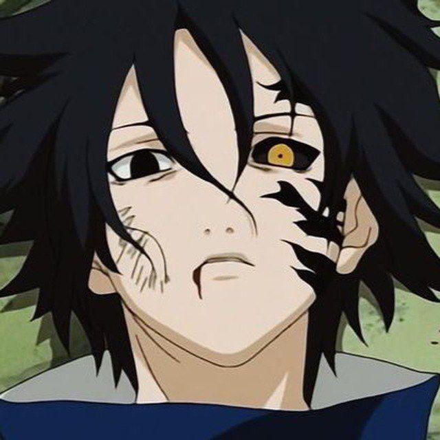 whykishibe avatar
