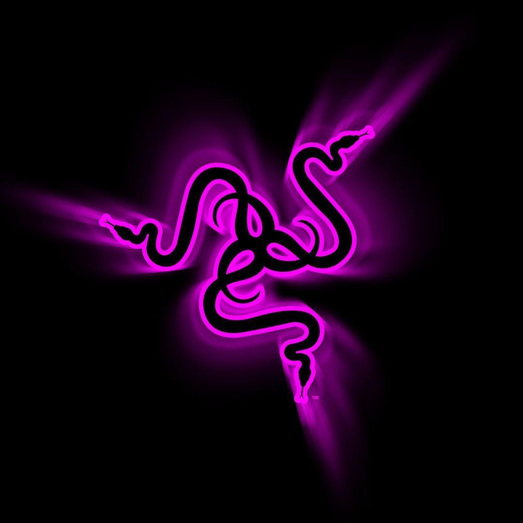 zatocholeg avatar