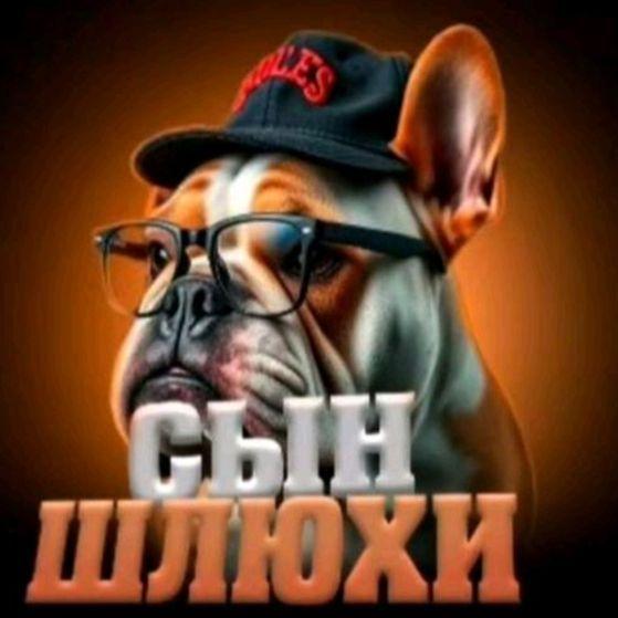 youngrix1221 avatar