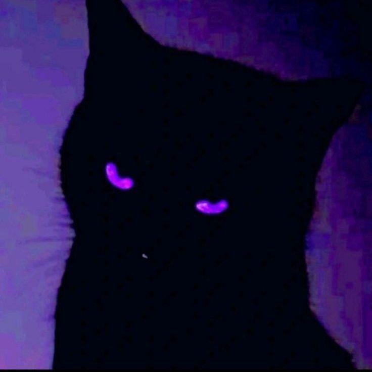 SeKeDa03 avatar