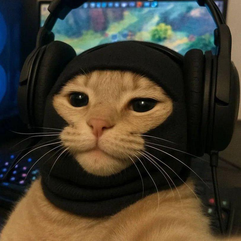 ZaNy1 avatar
