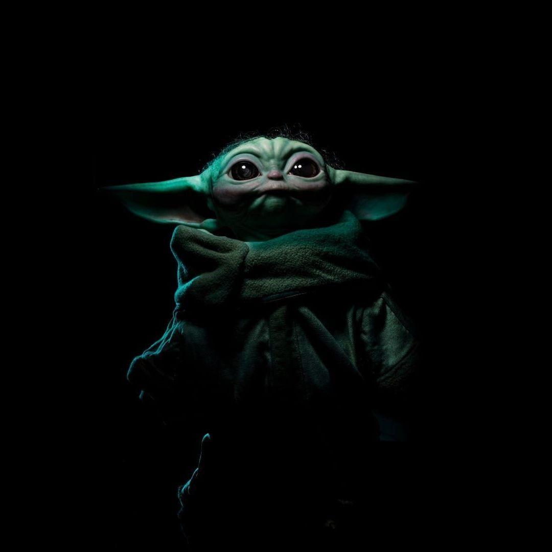 ecodzi avatar