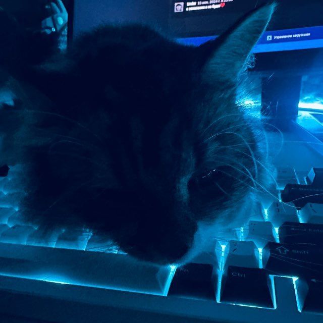 y0ung29
