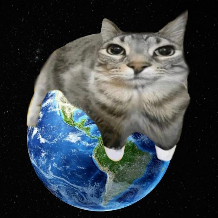 KatanaYanke
