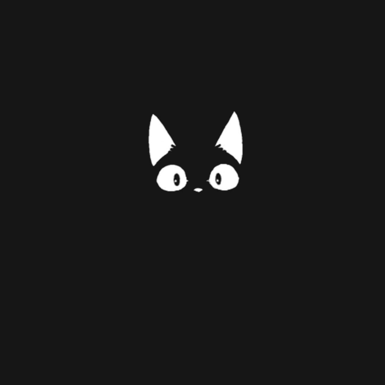 QygoO