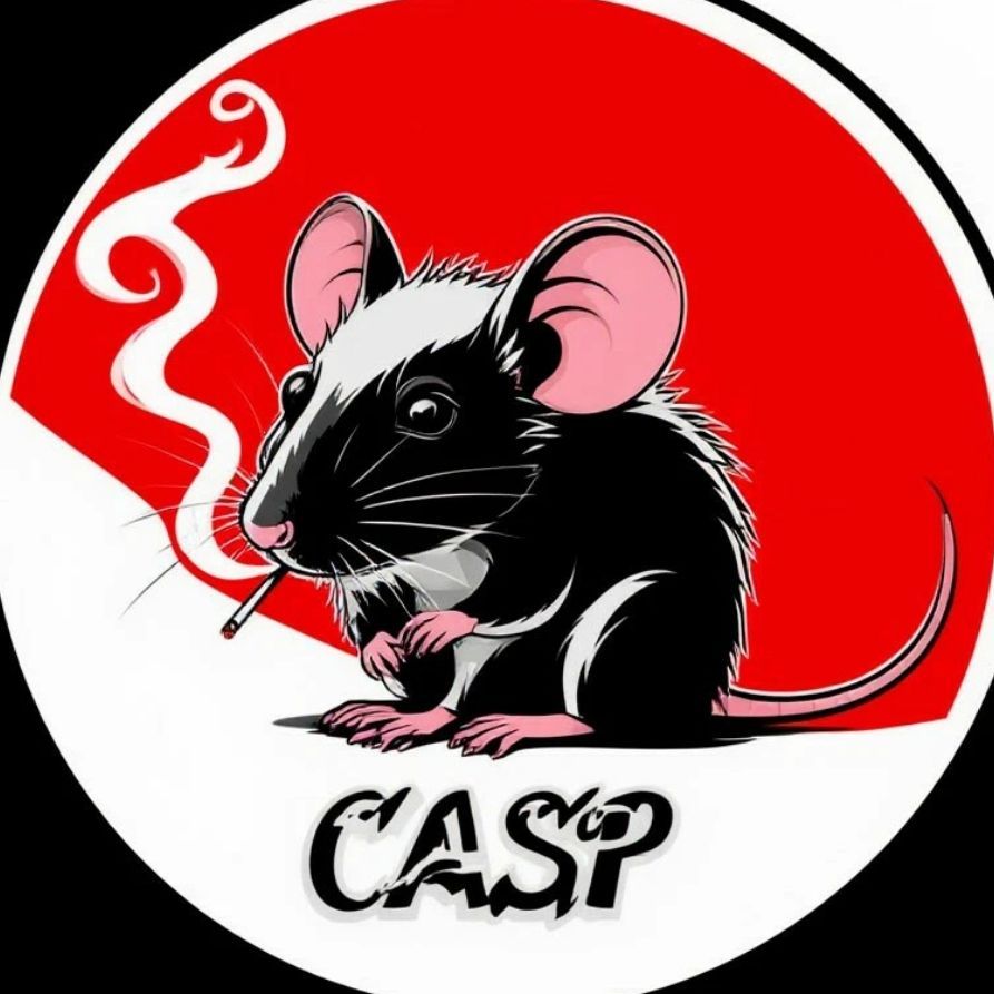 CASP