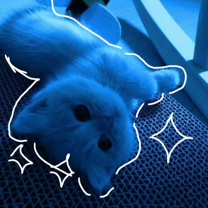 h1ko