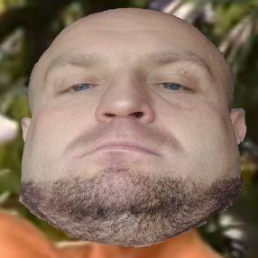 Ziemal avatar