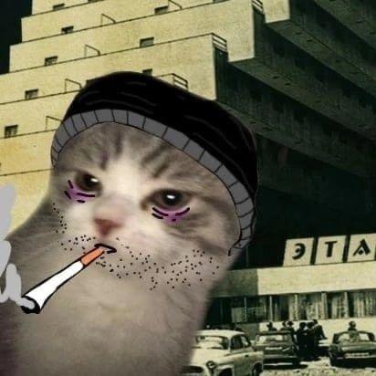 SENSeiMAZZ avatar
