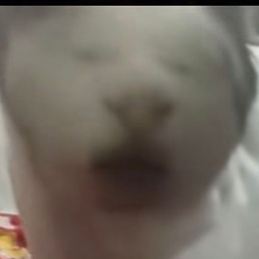 team_dmnstv