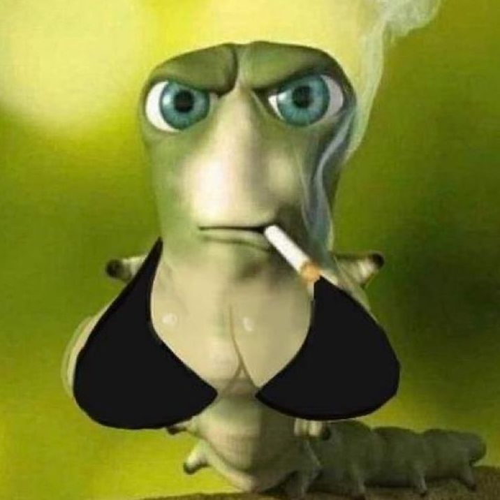 danehzz1