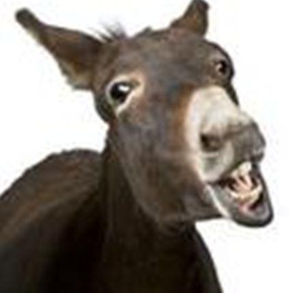 DonkeyF1 avatar