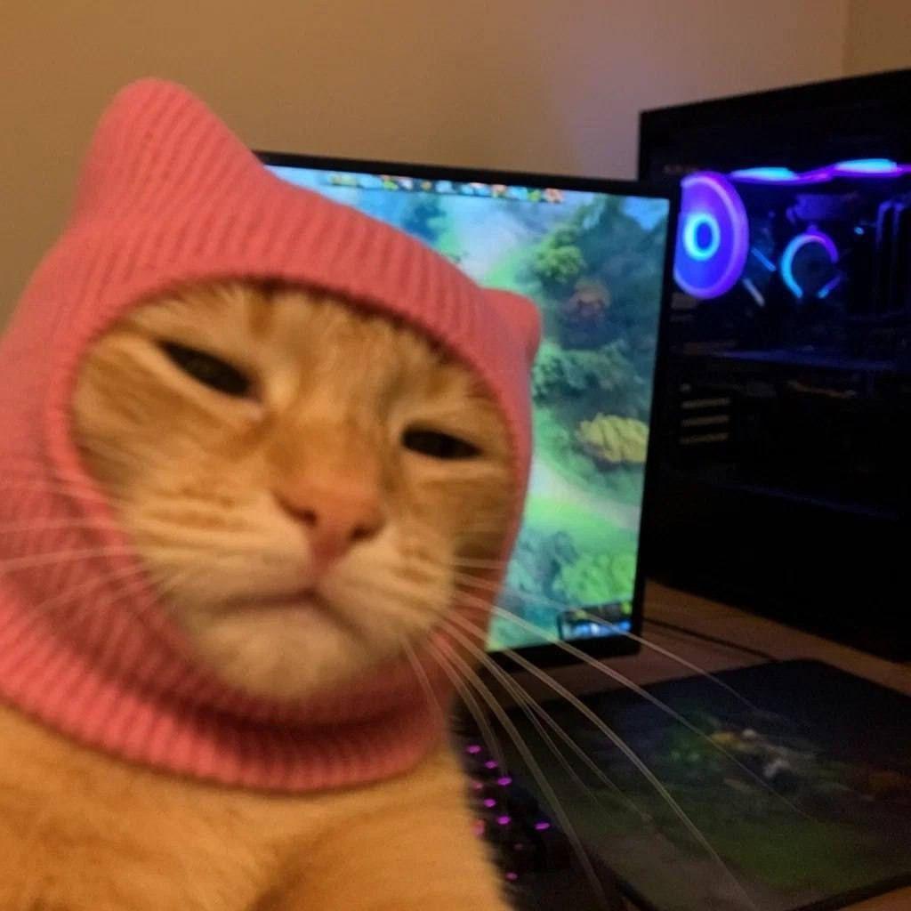 vovanessi666 avatar