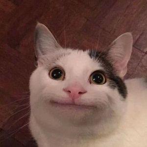 ChotaXisde avatar