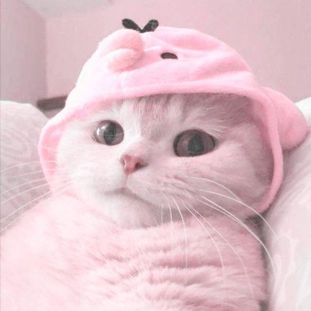 froz1----