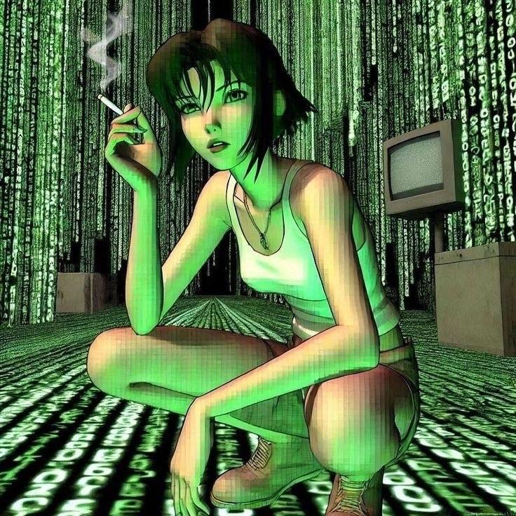 snimschaga avatar