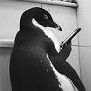 team_penguini06
