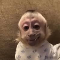 wooski-