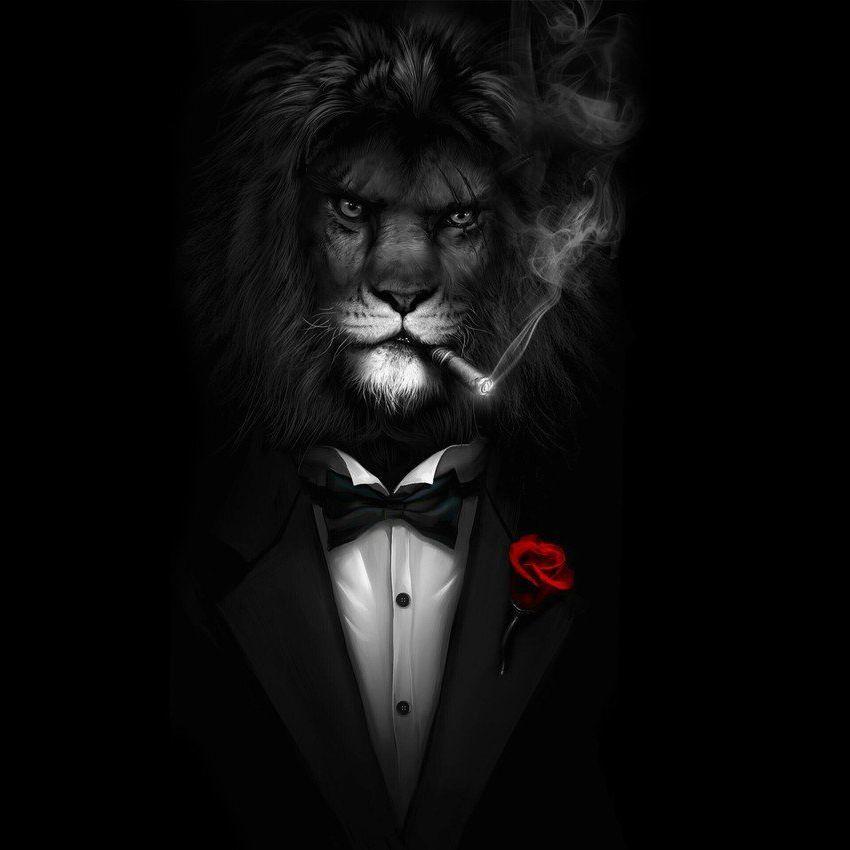 corle0n3 avatar