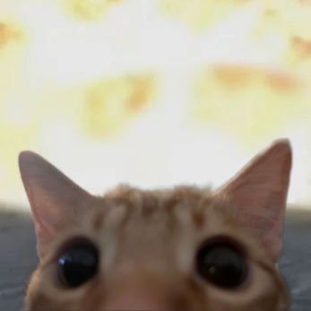 xnerdu