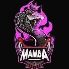 Player mamba_666 avatar