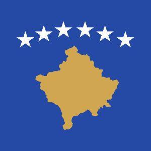 besskosova avatar