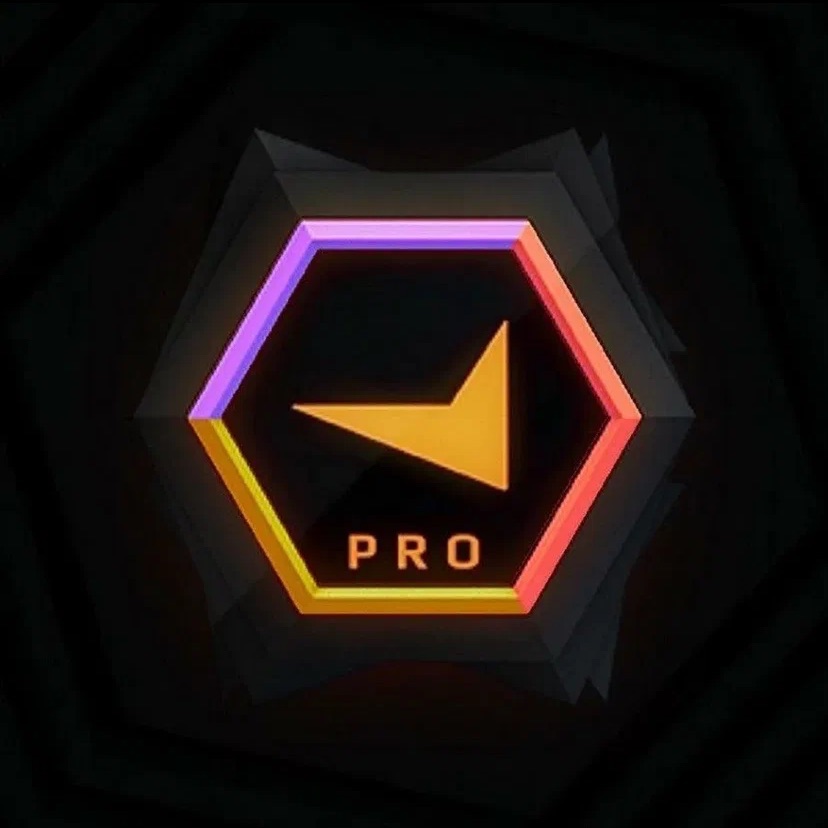 The_Pro_11