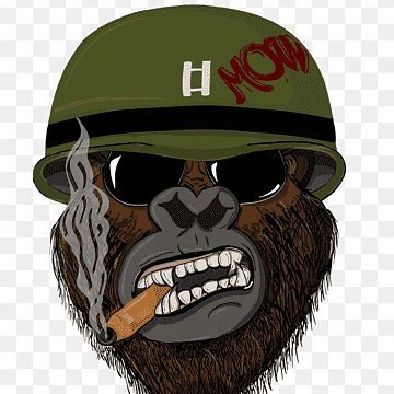 rash1k