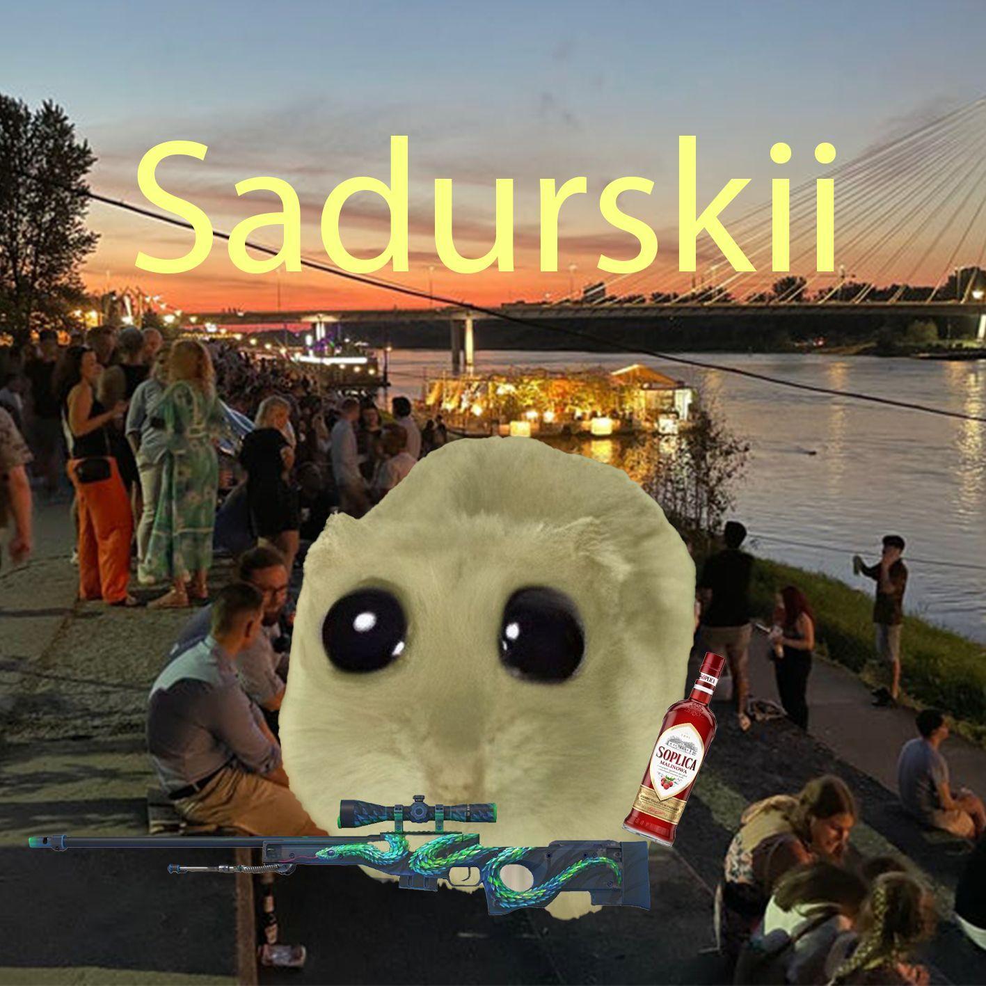 Player sadurskiii avatar