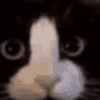 9inelives avatar