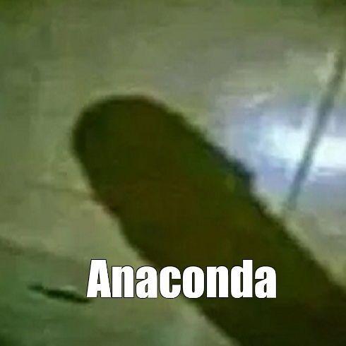 ANACONDAit avatar
