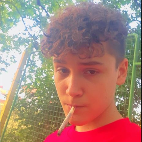 Dragan_Sajla