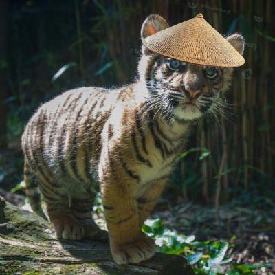 ykbaku avatar