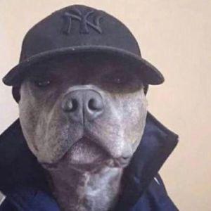 _Sallex07_ avatar