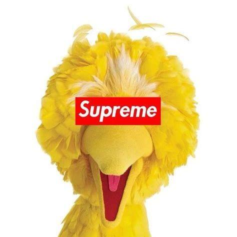 SBigbird