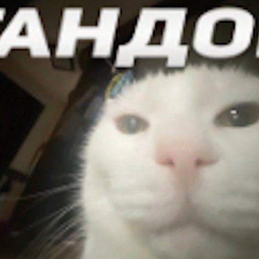 BebRO4KA0 avatar