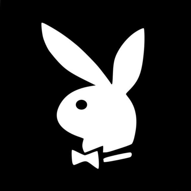 bunny_741 avatar