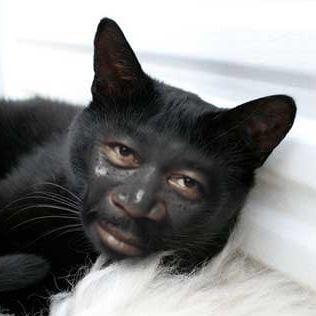 notok avatar